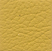 33067 mustard