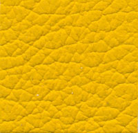 33098 marigold