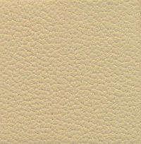 33063 mushroom