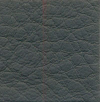 33554 olive