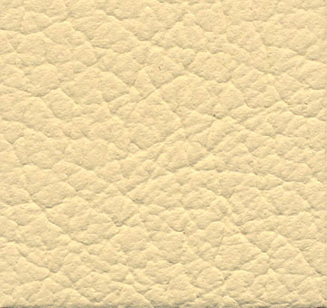 33531 bone